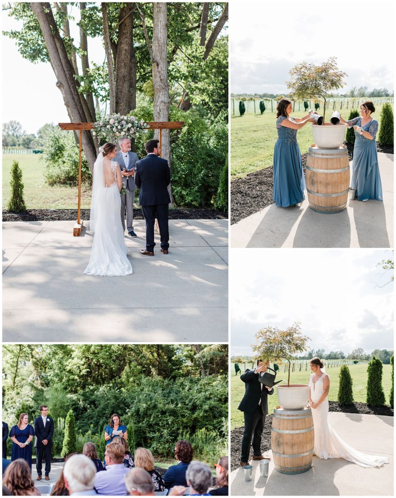 wedding-daniels-vineyard