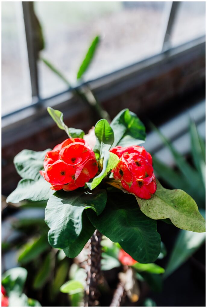 family-session-potawatomi-conservatory